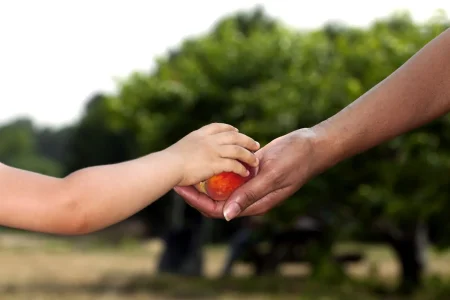 Formación práctica y mentoría digital